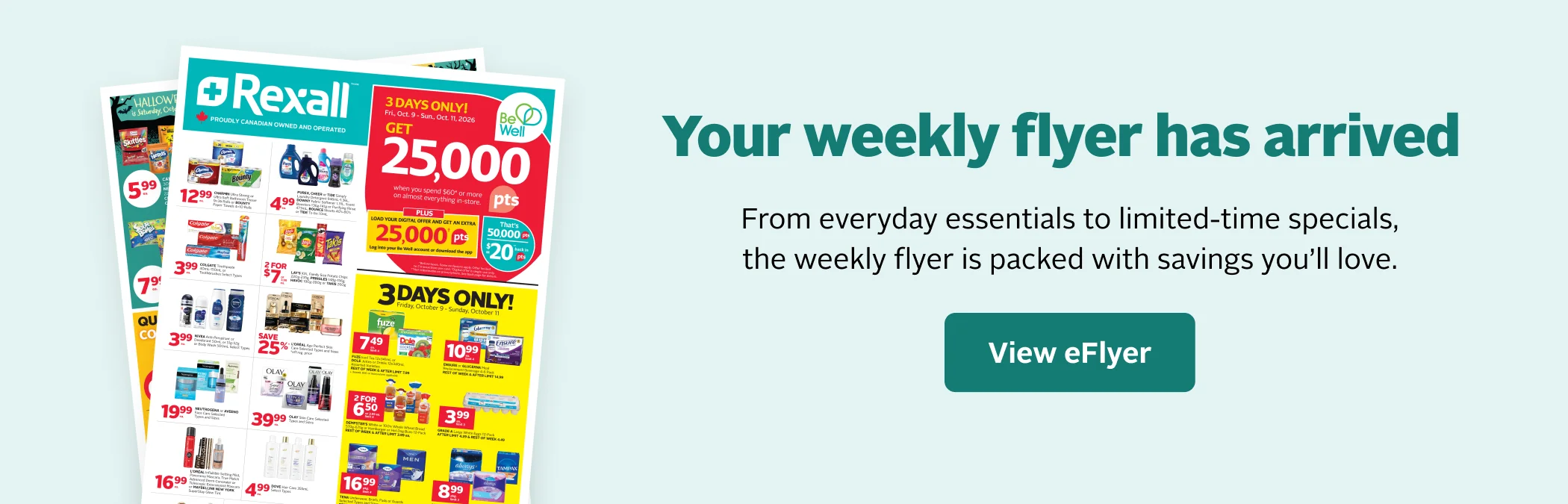 View eFlyer