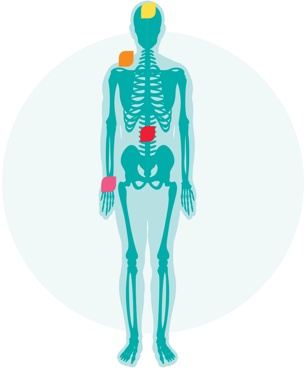 Pain Relief & Remedies Your Medicine Rexall.ca