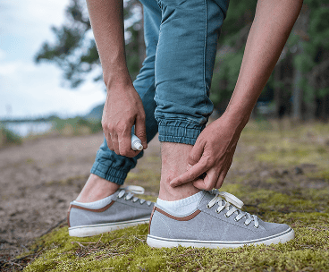 Insect Bites and Hives